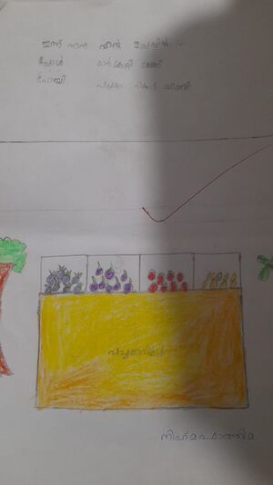 48558-MLP-Kunju-Nihma Fathima.jpg