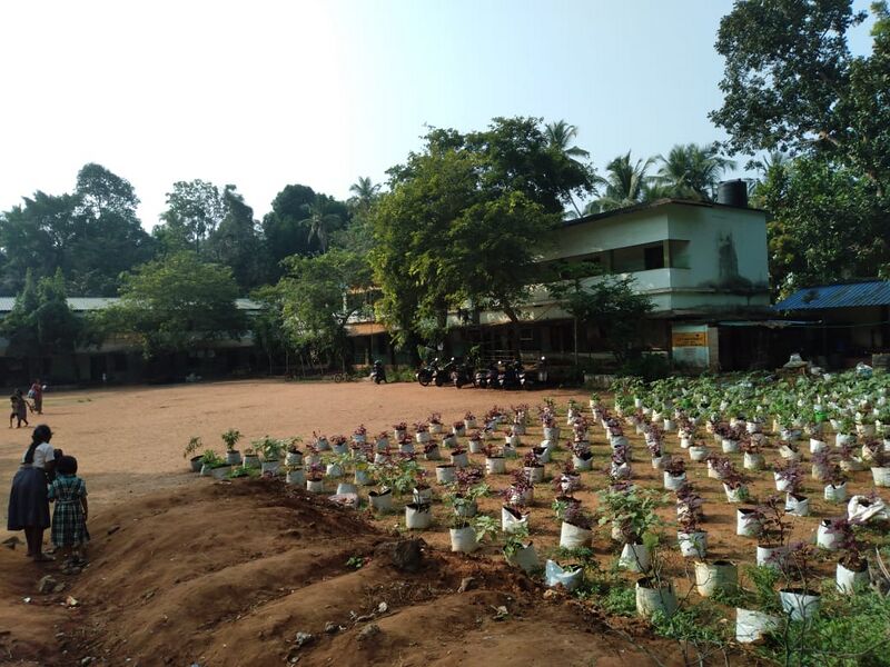 പ്രമാണം:Gups naduvattam 17542.jpeg