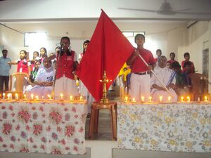 Schoolparlament 35052 (6).JPG