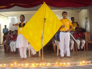 Schoolparliament 14 35052 (6).JPG