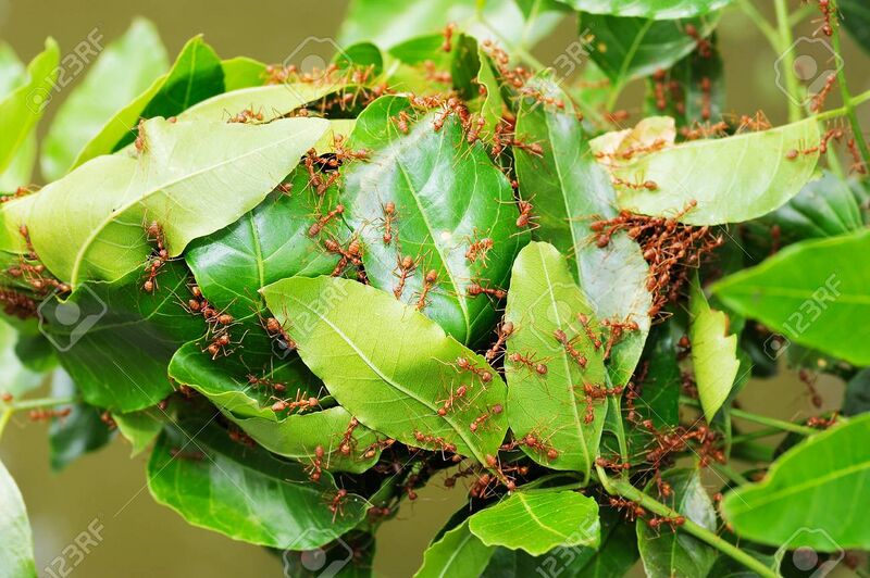 പ്രമാണം:25435 HITECH PHOTO 1.jpg