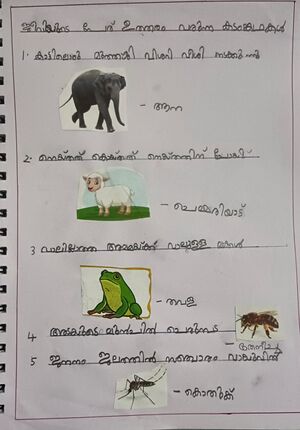 26238-EKM-KUNJ-MAGDALENE ROSE.jpeg