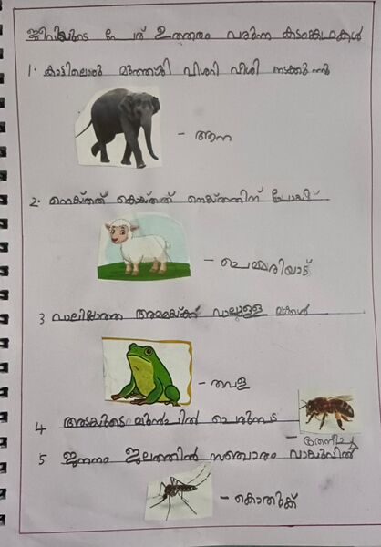 പ്രമാണം:26238-EKM-KUNJ-MAGDALENE ROSE.jpeg