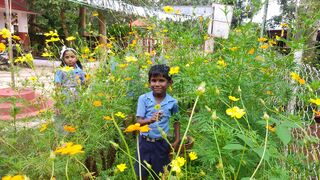 മനോഹരമായ ശലഭോദ്യാനം