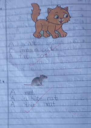 42631 Muhammed Adheem TVM Kunj.jpeg