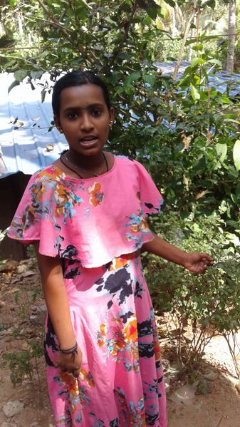 പ്രമാണം:43022 NC224.jpg