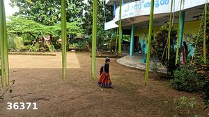 BS21 ALP 36371 4.jpg