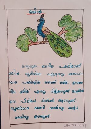 EKM-KUNJ-LIBA MEHRIN.jpg