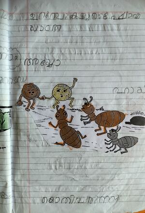 IMG 20240305 120619.jpg