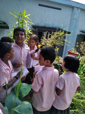 WhatsApp Image 2022-01-27 at 11.03.23 AM(1).jpeg