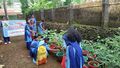 16:06, 13 മാർച്ച് 2025-ലെ പതിപ്പിന്റെ ലഘുചിത്രം
