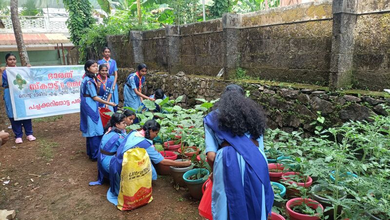 പ്രമാണം:പച്ചക്കറിതോട്ട പരിശീലനം.jpeg