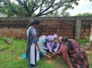 13030-Environmental day-social-2026.jpg