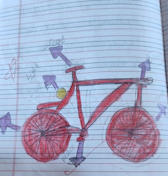 പ്രമാണം:13464- KNR-KUNJ- HELENA ANNA LINTO.jpg