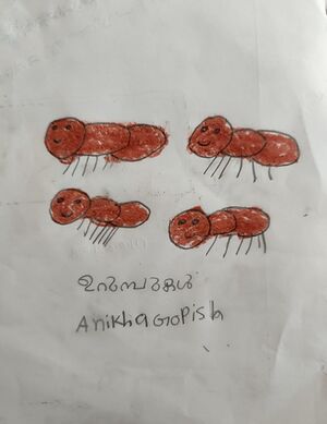 15056-WYD-KUNJ-ANIKHA GOPISH.jpeg