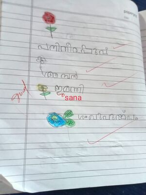 15201-WYD-KUNJ-SANA FATHIMA.jpeg