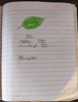 15460 WYD KUNJ ANMIKA.jpeg