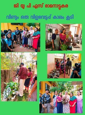 17541 Happy day .jpg