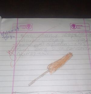 18621-MLP-KUNJ-SHANZA KP.jpeg