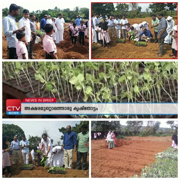 പ്രമാണം:19833 krishi1.jpg