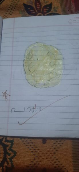 പ്രമാണം:20007-PKD-NIRANJAN K-KUNJ.jpeg