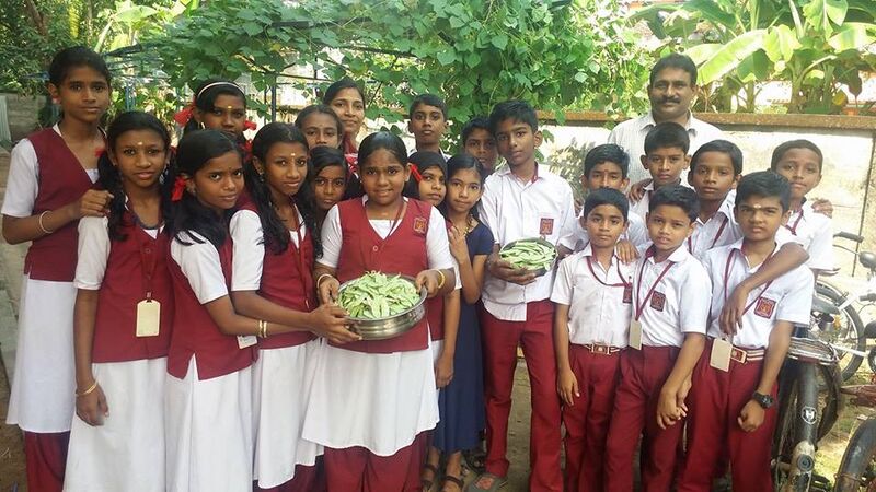 പ്രമാണം:22014 VEGETABLE.jpg