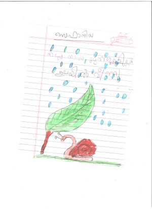 26211-EKM-SEFANIYA -KUNJ STD 1.jpeg