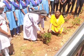 ശലഭോദ്യാനപാർക്ക് ഉദ്‌ഘാടനം