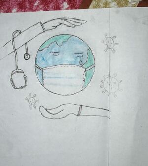 30527-ameena nishad 3b.jpeg