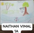 NATHAN,1B
