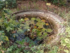 33526 jaivavaividyam.jpeg