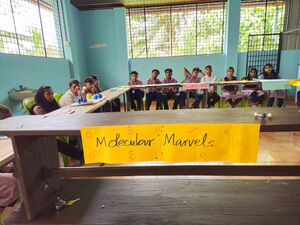 41075 Mole marvel 1.jpg