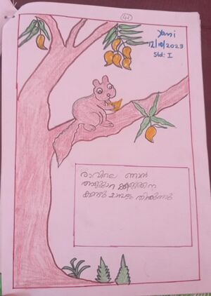 41634-KLM-KUNJ-Yami (3).jpeg