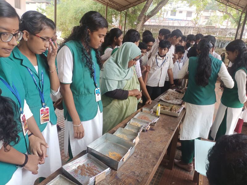 പ്രമാണം:43015 millets.jpg