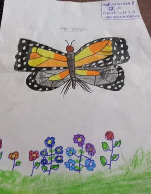 44055 butterfly15.jpeg