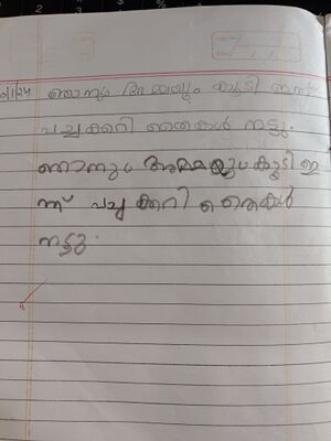 45306-KTM-kunj-swetha jayesh.jpg