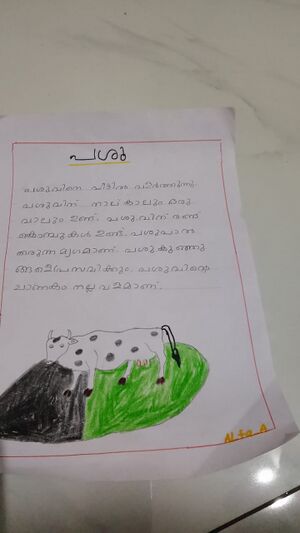 48134-MLP-KUNJ-A LEA.jpg