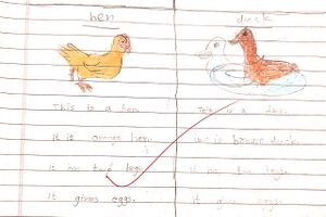 48134-MLP-KUNJ-HADIYA .jpg