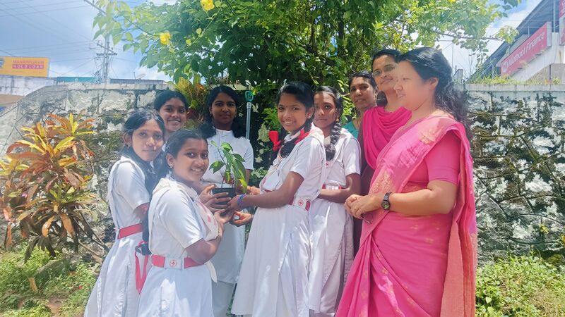 പ്രമാണം:MUTTATHORU THAIMAVU.jpg