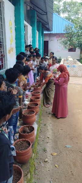 പ്രമാണം:Vegetable garden 2025.jpg