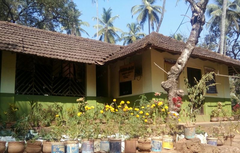 പ്രമാണം:14649 1.jpeg