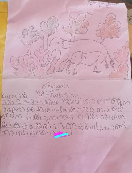 പ്രമാണം:15509-WYD-KUNJ-MUHAMMED FAIZAN K 1 C.jpeg