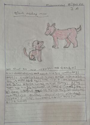 19204-MLP-KUNJ-MUHAMMED ZIYAD A V.jpeg