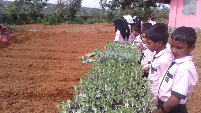 പ്രമാണം:19833 krishi11.jpg