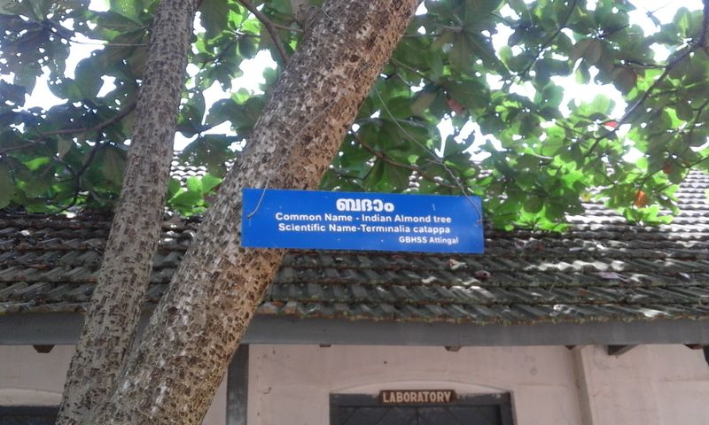 പ്രമാണം:20180917 111706naming26.jpg