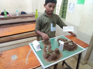 21098-science fair-2024-25-1.jpg