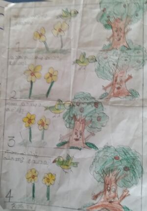 24066-TSR-HAIFA TV.jpg