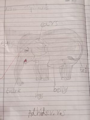 24607-TSR-KUNJ-ADHIDEV VS.jpg