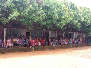 27036 pkd lahari3.jpg