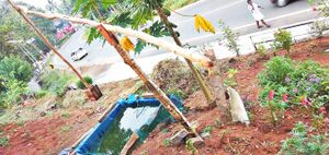 29312 karshikamela3.jpeg